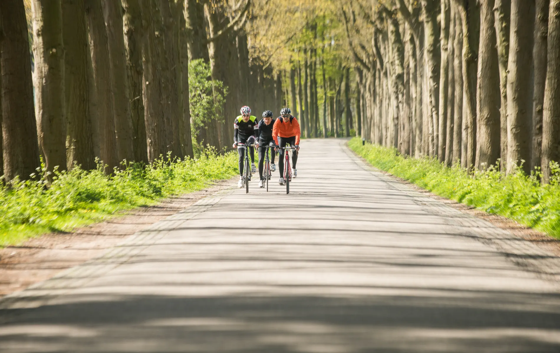 Vrienden fietsen samen door groen landschap